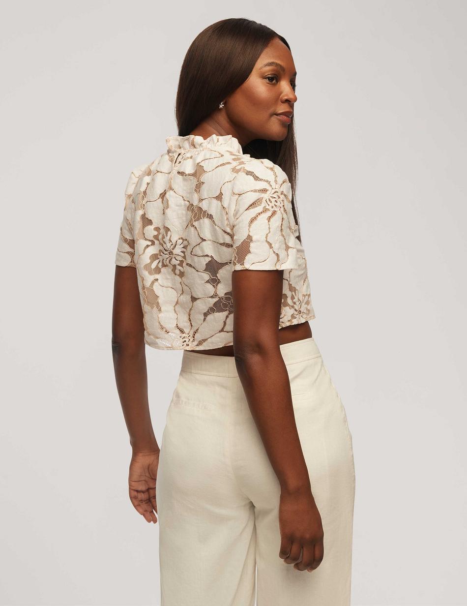 White Anne Klein Floral Embroidered Lace Cropped Blouse Tops | ZNZNQ29570